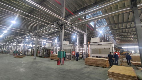 签约合作 开年开好局,大王椰家具板渠道发力气势如虹