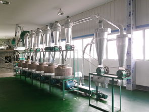 上海玉米加工设备新出厂价格 加工设备 玉米加工设备销售