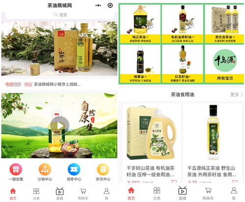 2020茶油行业全新发展商业模式