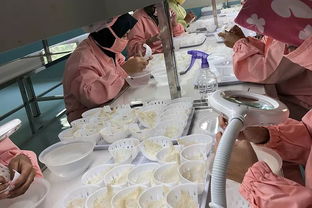 京东启动史上最大规模选品行动，全球精选质优价实商品与生活服务